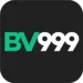 BV99 Game