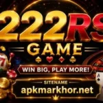 222RS Game